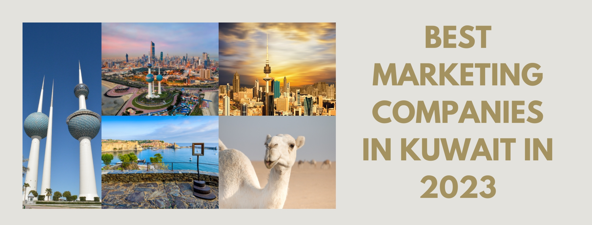 best marketing companies in Kuwait